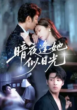 暗夜逢她似日光海报