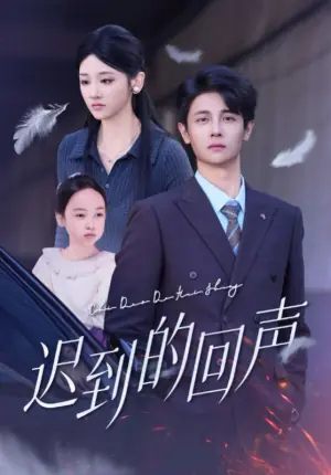 迟到的回声海报