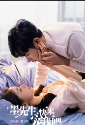 墨先生,快来宠我吧海报