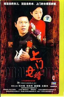 上门女婿海报