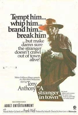 大开杀戒连环枪海报