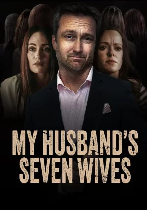 我丈夫的七个妻子海报