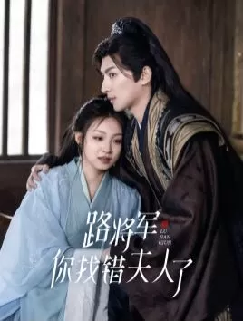 路将军你找错夫人了海报