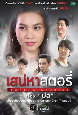 爱的故事之美丽的她海报