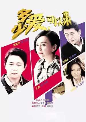 多少爱,可以重来海报