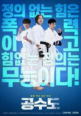 空手道공수도海报