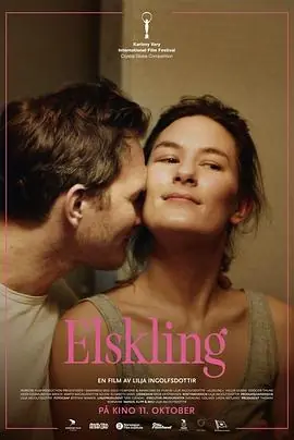 爱的暂停键Elskling海报