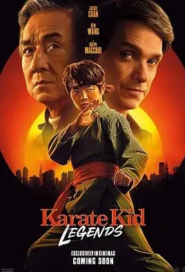 功夫梦:融合之道海报