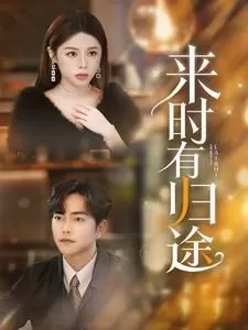 来时有归途海报