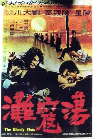 荡寇滩海报