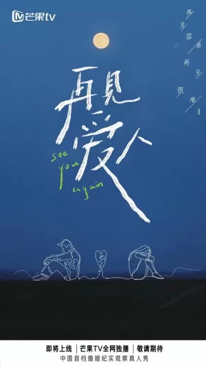 再见爱人Plus版海报