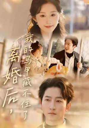 离婚后,我的马甲藏不住了海报