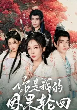 你是我的因果轮回海报