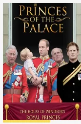 皇宫里的王子们海报