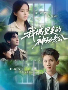 我城里来的神秘老公海报