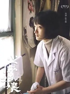 小麻姑娘海报