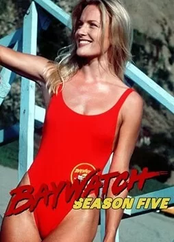 海滩救护队第九季海报