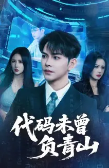 代码未曾负青山海报