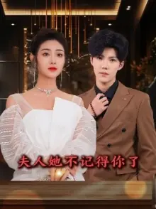 夫人她不记得你了海报