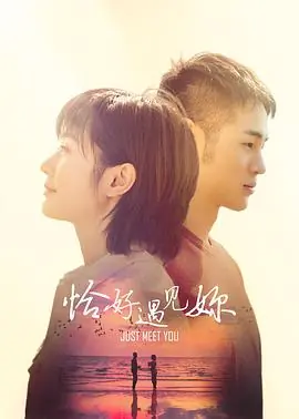 恰好遇见你2021海报