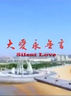 大爱永无言海报