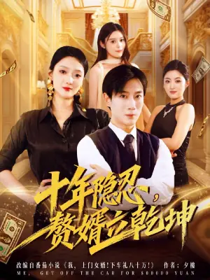 十年隐忍,赘婿立乾坤海报