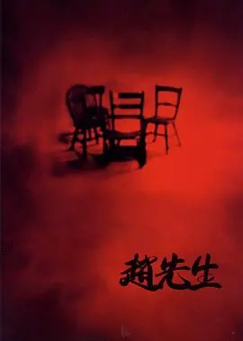 赵先生海报