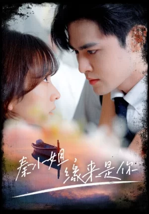 秦小姐,缘来是你海报