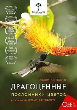 蜂鸟:宝石般的信使海报