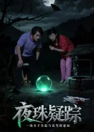 夜珠疑踪海报