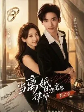 当离婚律师想离婚第二季海报