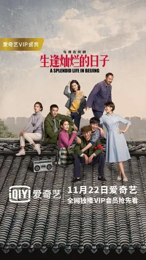 生逢灿烂的日子网络版海报