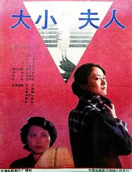 大小夫人[电影解说]海报