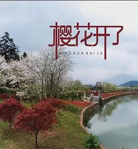樱花开了海报