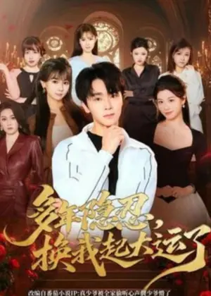 多年隐忍换我起大运了海报