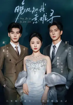 晚风知我意难寻海报