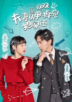 夫妻马甲掉完双双把家还海报