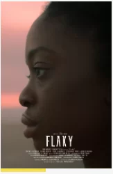 Flaky海报