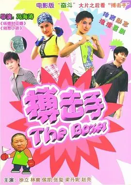 大山里的搏击手海报