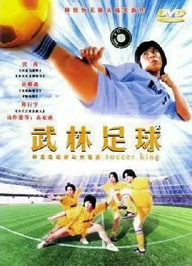 武林足球海报