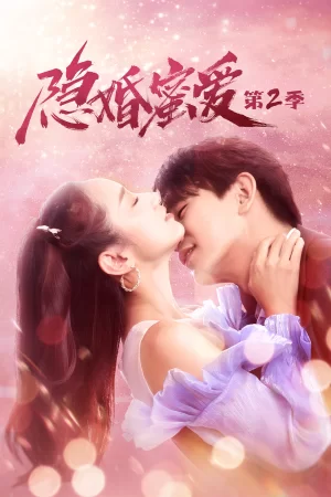 隐婚蜜爱第二季海报