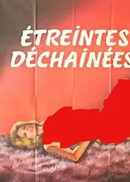 Etreintesd&eacute;cha&icirc;n&eacute;es海报