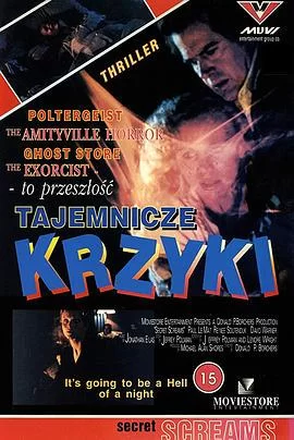 严重的秘密海报