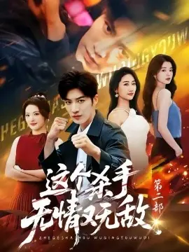 这个杀手无情又无敌第二部海报