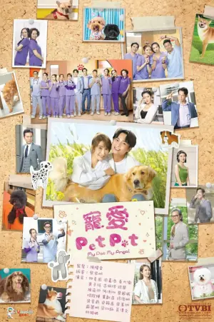 宠爱PetPet海报