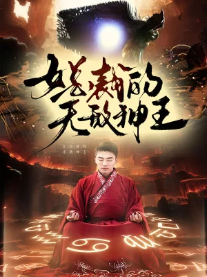 女总裁的无敌神王海报