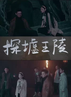 探墟王陵海报