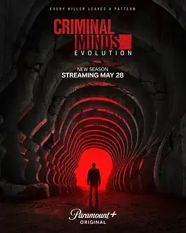 犯罪心理:演变第十九季CriminalMinds:EvolutionSeason19海报