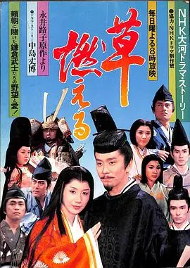 草燃海报