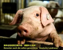 我们的香肠有多棒?海报